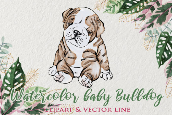 Watercolor Baby English Bulldog Clipart